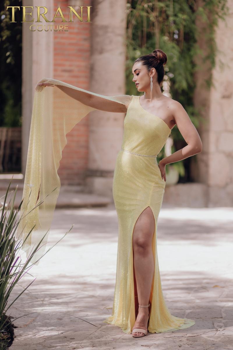 Terani Couture 232E1209