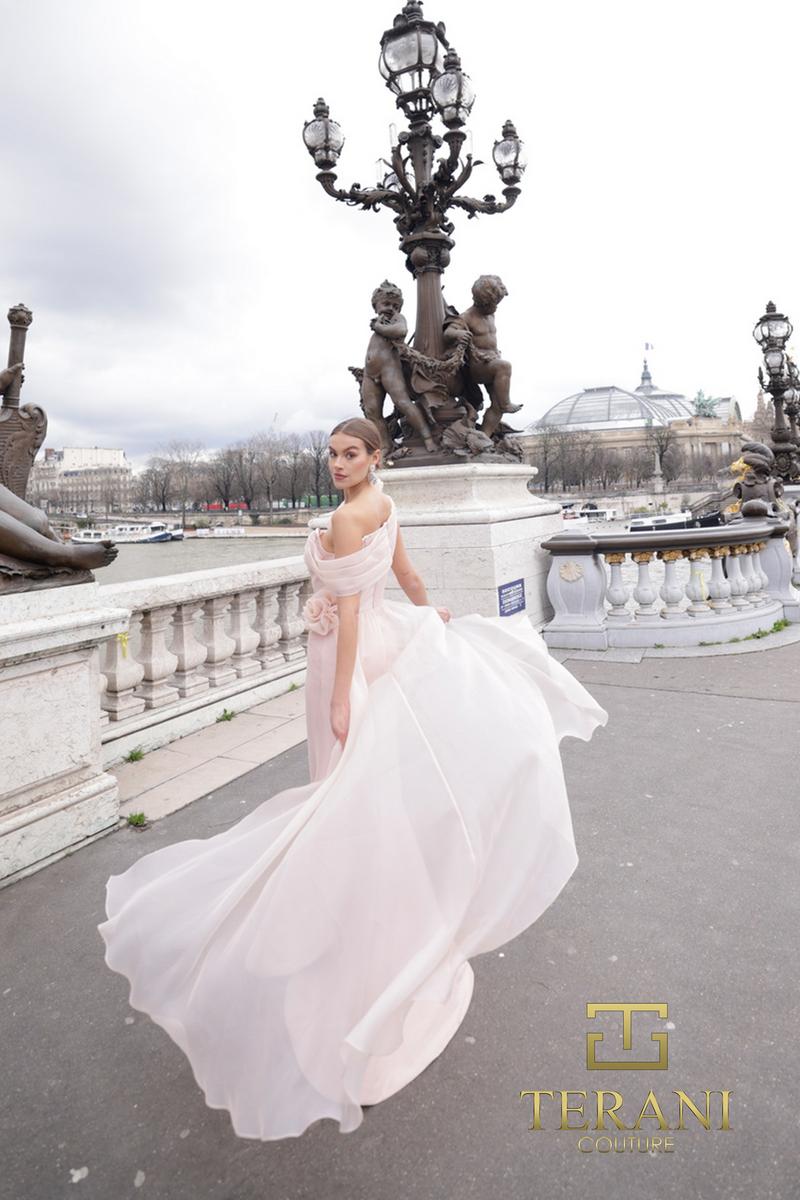 Terani Couture 242M3342 – Blush