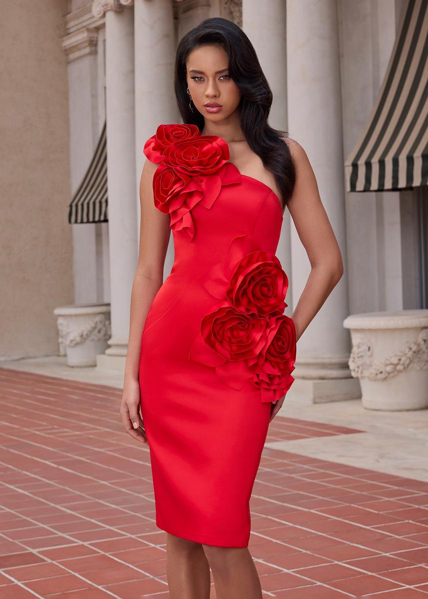 ASHLEYlauren 4814 – Red